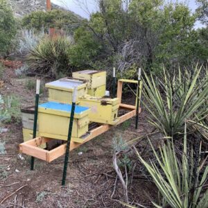 Multiple beehive boxes set up in an outdoor apiary, representing the bee relocation and management services of J R Bees LLC in San Diego, CA.