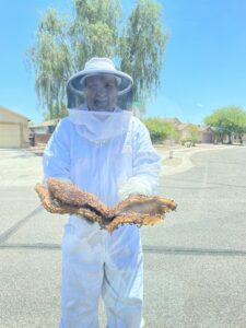 A beekeeper in a full suit holding a large honeycomb after a bee removal service by Southwest Pest Solutions in Tucson, AZ