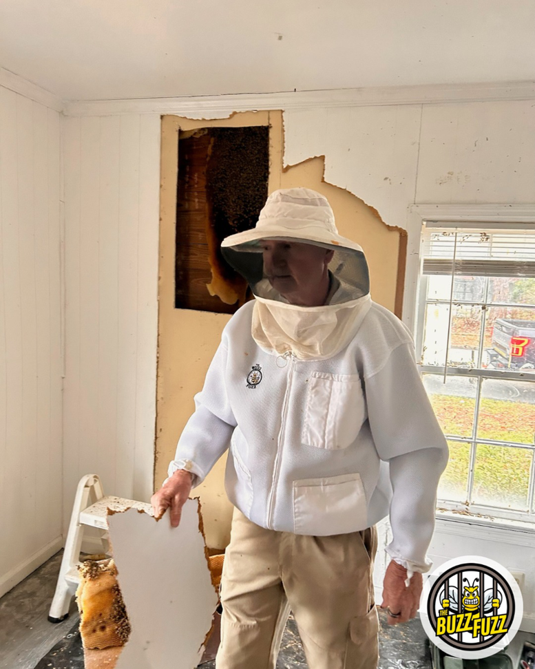 A beekeeper from Dale Richter's The Buzz Fuzz removing a large beehive from inside a wall in Leesburg, GA