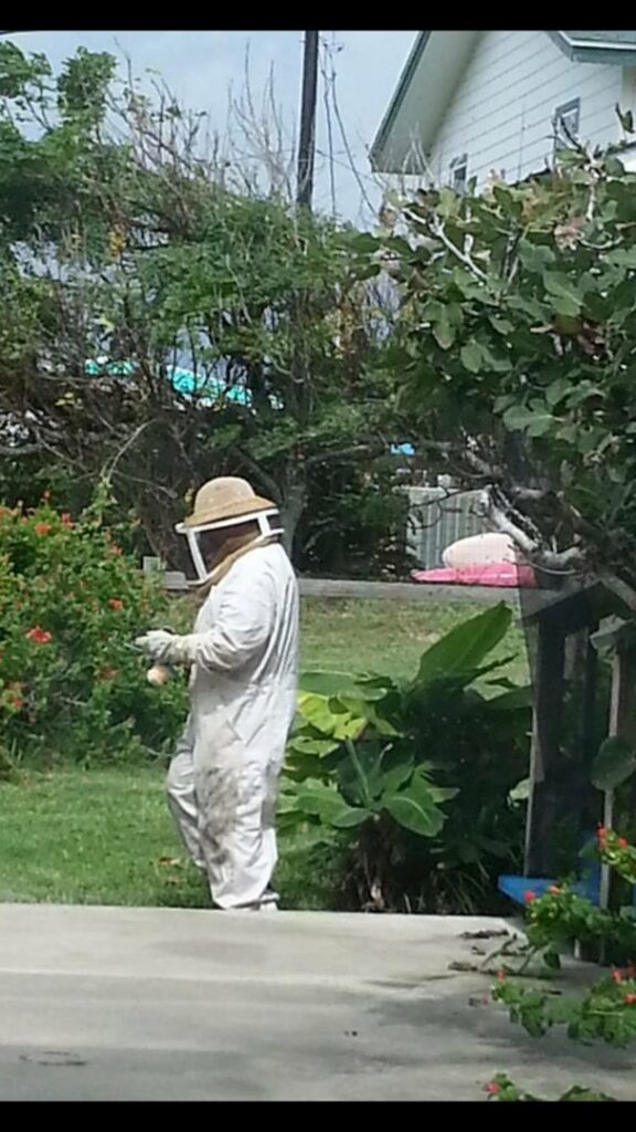 A professional technician wearing a full beekeeper suit, ready for bee removal services from Pro-Tech Services in Garland, TX.