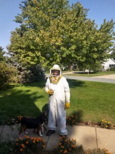 A person wearing a full beekeeper suit, ready for bee removal or management services from Midwest Pest Control in East Peoria, IL.