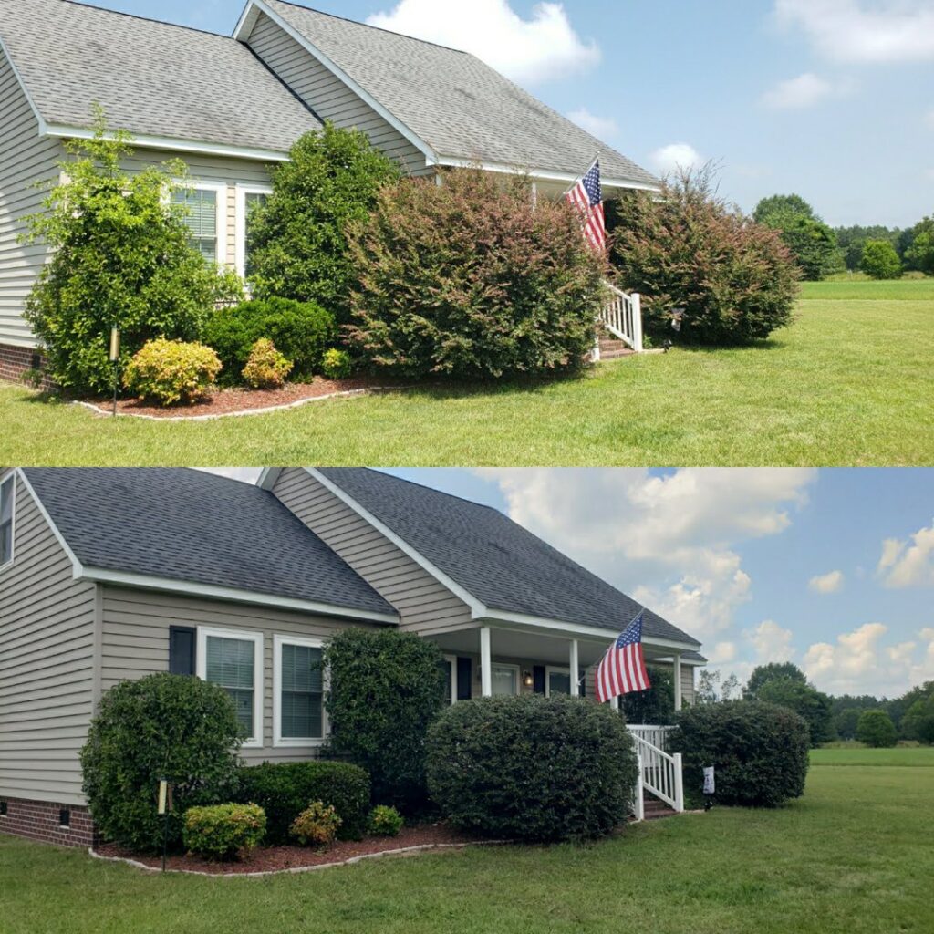 Before and after photos showing expertly trimmed bushes and improved landscaping by Liberty LAWN Care in Sumter, SC.