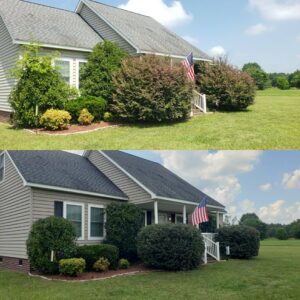 Before and after photos showing expertly trimmed bushes and improved landscaping by Liberty LAWN Care in Sumter, SC.