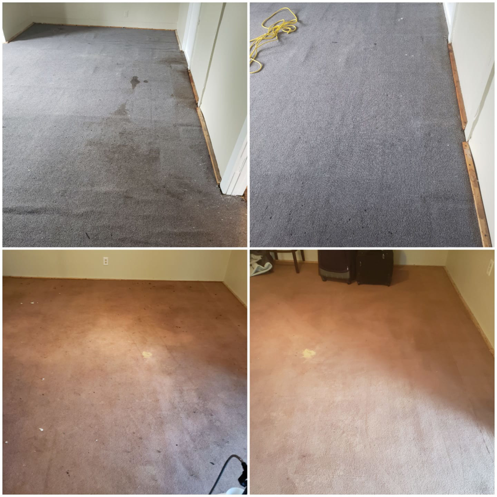 Before and after comparison of dirty and clean carpets by AD's Carpet Cleaning Service in Rochester, NY.