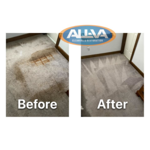 Before and after comparison of a carpet cleaning job by All Virginia Cleaning Solutions, LLC. in Henrico, VA.