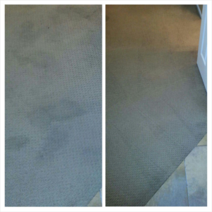 Before and after comparison of professional carpet cleaning by Apex Carpet Cleaning & Flood Restoration LLC in Phoenix, AZ
