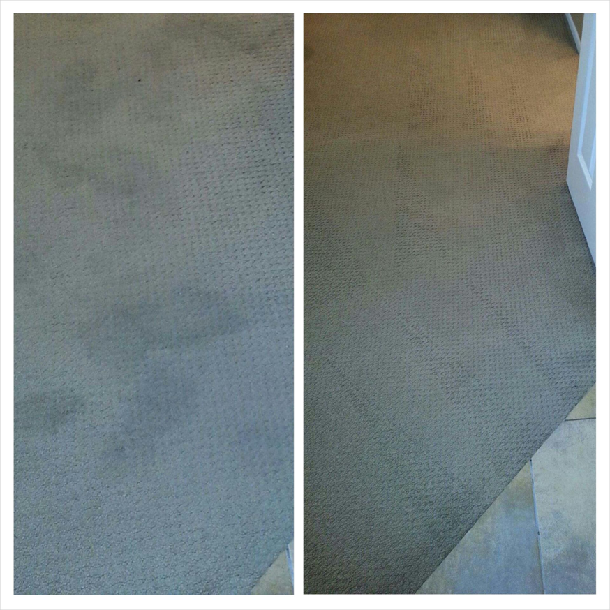 Before and after comparison of professional carpet cleaning by Apex Carpet Cleaning & Flood Restoration LLC in Phoenix, AZ