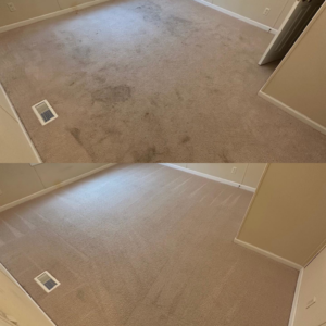 Before and after comparison of a dirty carpet cleaned by Columbia Carpet Cleaning in Columbia, MO.