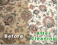 Before and after comparison of a patterned carpet cleaned by Dressler's Carpet and Upholstery Cleaning in Schenectady, NY