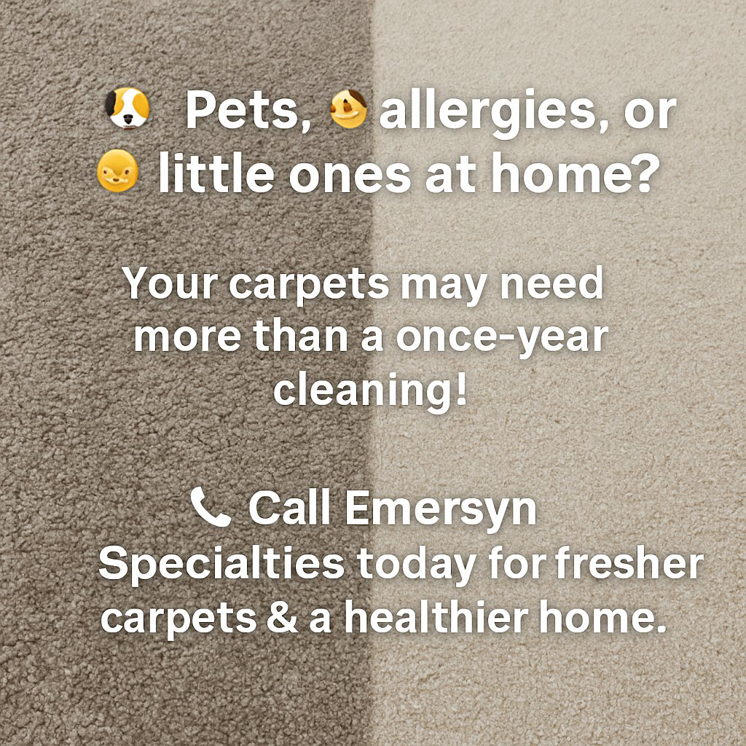 A split image showing the dramatic before and after results of professional carpet cleaning by Emersyn Specialties in Bloomington, IN.