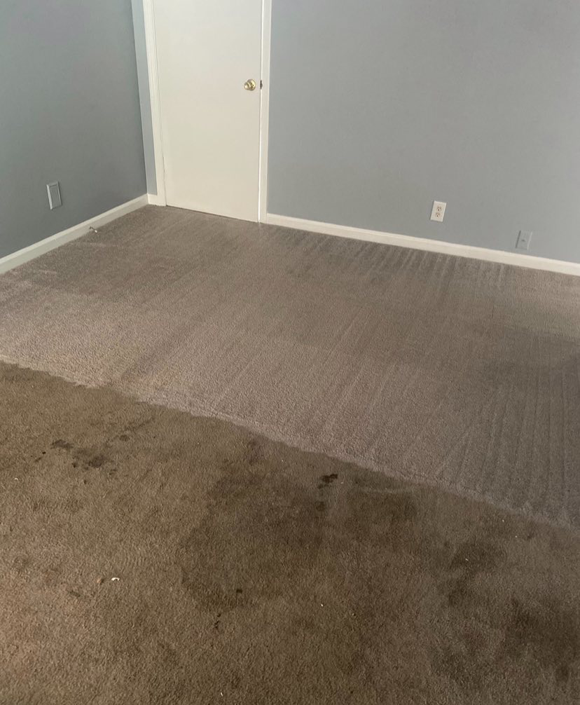 A carpeted room showing a clear before-and-after of professional carpet cleaning by Furns Total Carpet Care in Murfreesboro, TN.