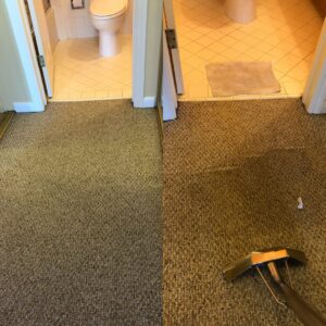 Before and after comparison of a hallway carpet cleaning, demonstrating effective results by Dalia's Carpet Cleaning in San Francisco, CA.