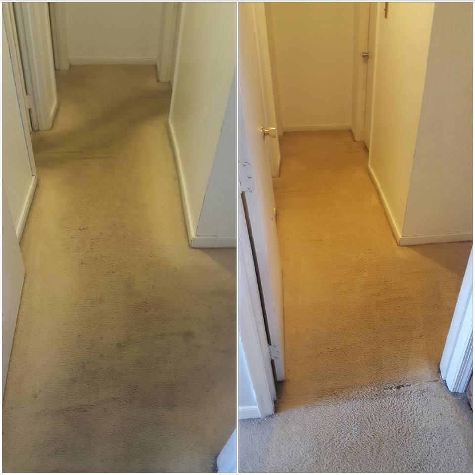 Before and after comparison of a professionally cleaned carpeted hallway by Richmond Kwik Dry Total Cleaning in Richmond, VA