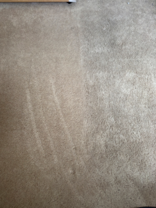 A before and after view of a carpet showing a clean section next to a dirty section by Heroic Carpet Cleaning Oregon in Beaverton, OR