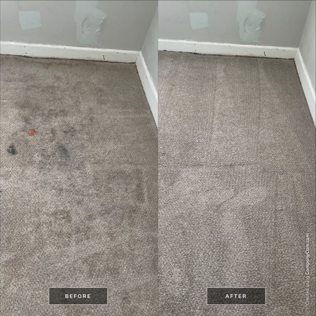 Before and after photo of a stained carpet cleaned by Inlet Carpet Care in Virginia Beach, VA