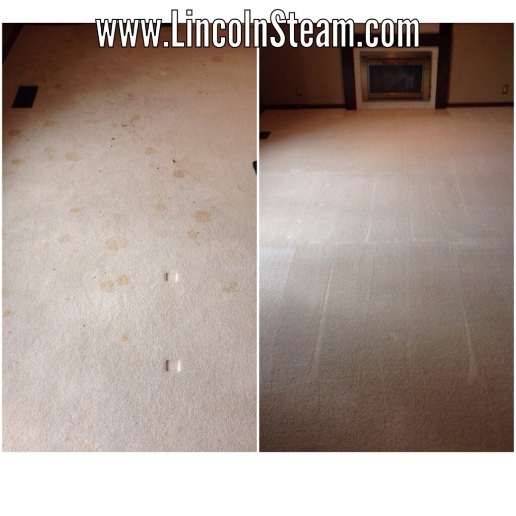 Before and after comparison of a carpet cleaning job by Lincoln Steam Carpet Cleaning in Lincoln, NE, showing a dirty carpet transformed to clean.