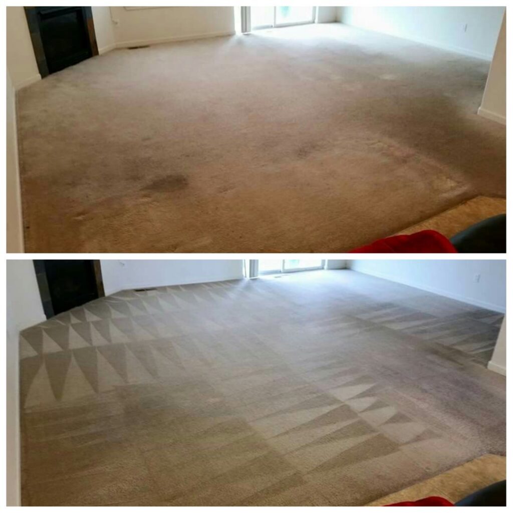 A before and after view of a living room carpet, showcasing deep cleaning results by Exceptional Carpet Care in Rochester, MN.