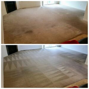 A before and after view of a living room carpet, showcasing deep cleaning results by Exceptional Carpet Care in Rochester, MN.
