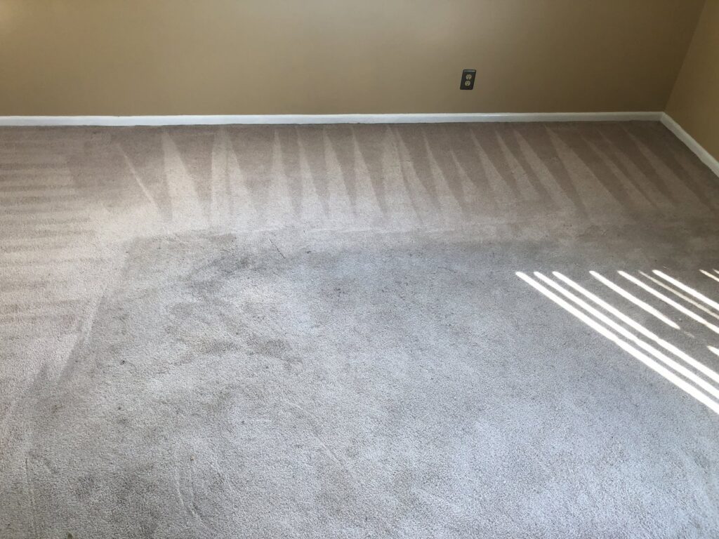 A carpet showing both dirty and freshly cleaned sections by M3 Cleaning Solutions, LLC in Montgomery, AL.