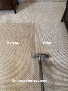 Before and after results of a carpet cleaning service by On The Spot Carpet Cleaning in Erie, PA, showing a clean path.