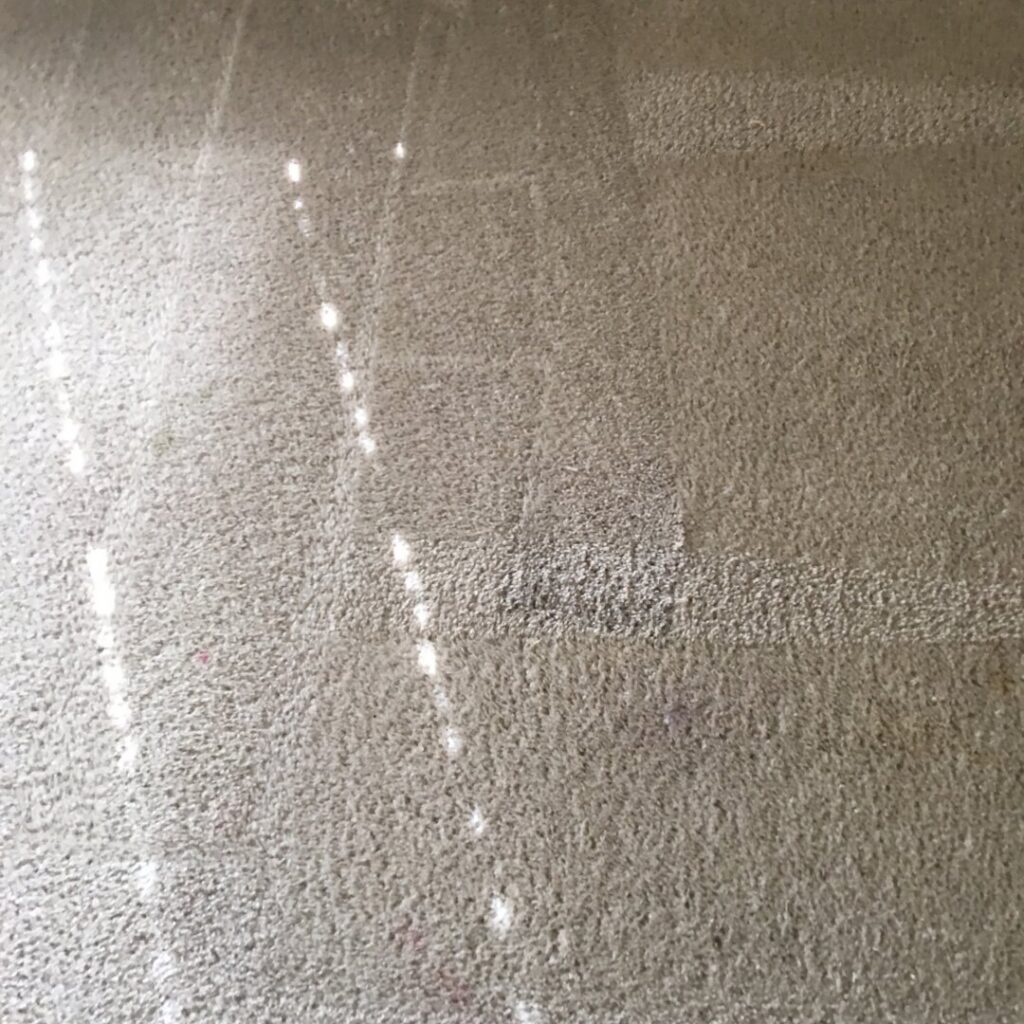 A close-up view of carpet showing a clean path next to a dirty section after cleaning by City Carpet Cleaners 1 in Houston, TX