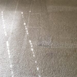 A close-up view of carpet showing a clean path next to a dirty section after cleaning by City Carpet Cleaners 1 in Houston, TX