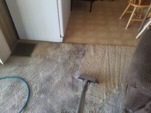 Carpet cleaning in progress, showing a clear before and after difference by Regal Carpet Cleaning Inc. in Tucson, AZ
