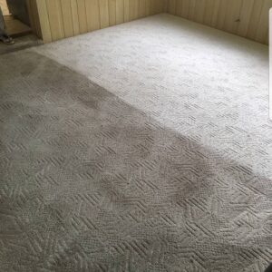 A before-and-after view of a carpet, showing a clean section next to a dirty section, demonstrating carpet cleaning results by C&R's Carpet Cleaning in Ellsworth, ME.