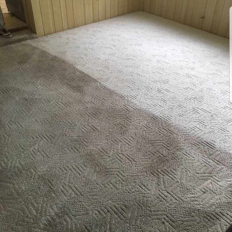 A before-and-after view of a carpet, showing a clean section next to a dirty section, demonstrating carpet cleaning results by C&R's Carpet Cleaning in Ellsworth, ME.