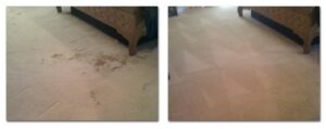 A side-by-side comparison showing a dirty, stained carpet before cleaning and a spotless carpet after service by Bee's Dry Organic Carpet Cleaning in San Antonio, TX.