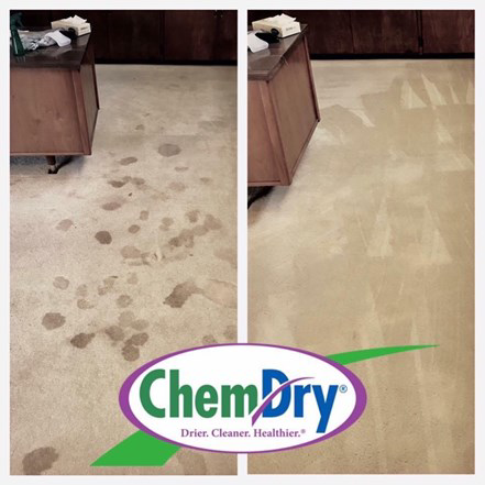 Before and after comparison of carpet cleaning results by Chem-Dry of Winston-Salem in Winston-Salem, NC.