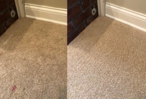 Before and after comparison of a carpet cleaning job, showing a dirty carpet transformed by Eco Carpet Cleaning in Indianapolis, IN.