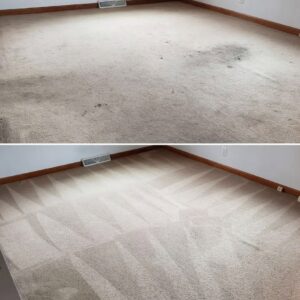 A before and after comparison showing a dramatically cleaner carpet by LS Upstate Cleaning in Greenville, SC.
