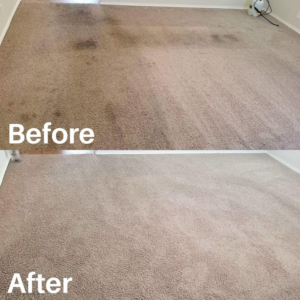 Before and after carpet cleaning results by Quick Dry Carpet Cleaning in Crown Point, IN, showing significant improvement.
