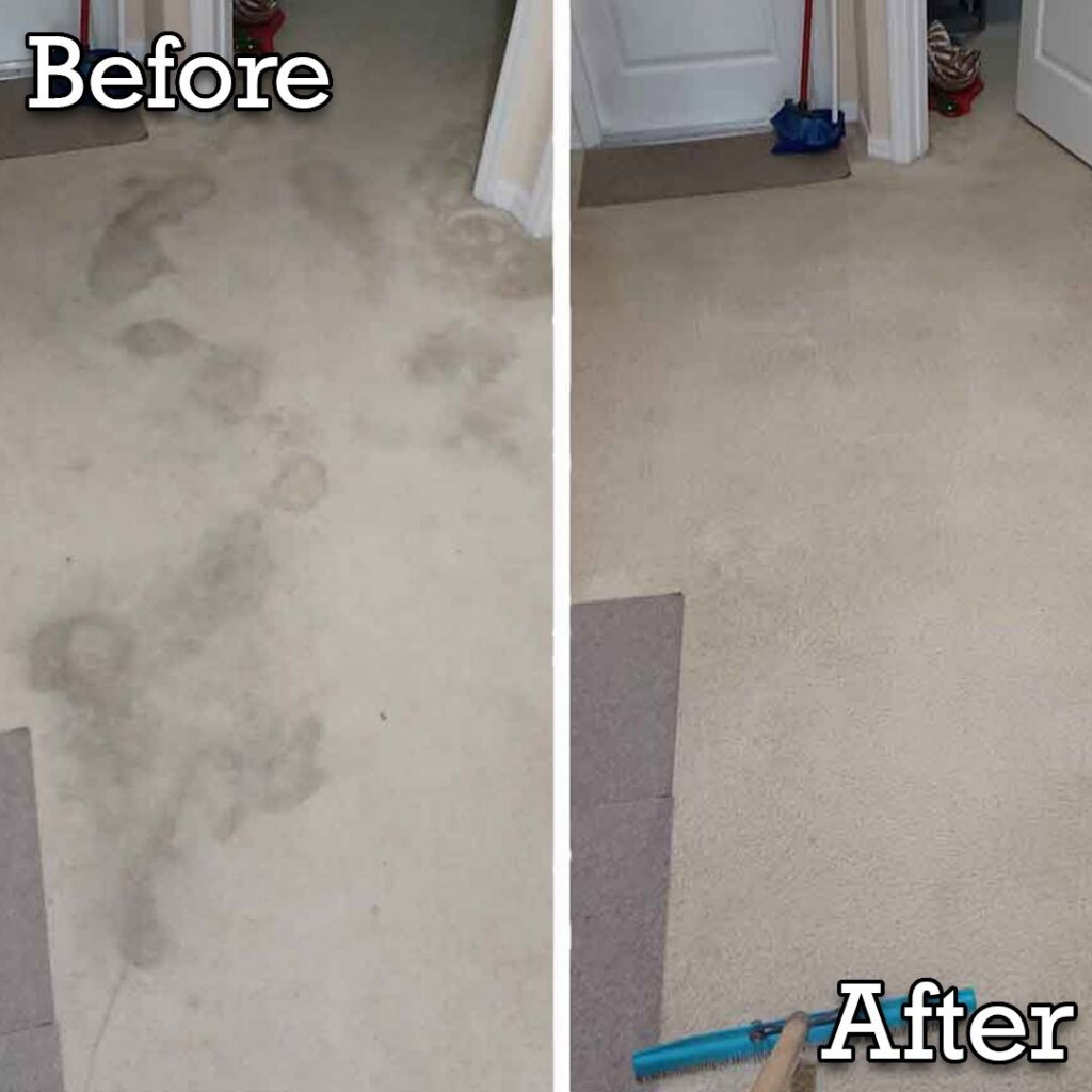 Before and after comparison of a carpet cleaning job by Rhode Island Kwik Dry in Providence, RI, showing significant improvement.