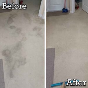 Before and after comparison of a carpet cleaning job by Rhode Island Kwik Dry in Providence, RI, showing significant improvement.
