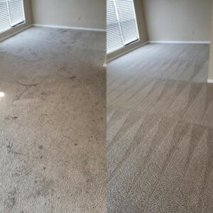 Before and after comparison of carpet cleaning results by Superior Clean Carpet and Upholstery Care in Jacksonville, FL