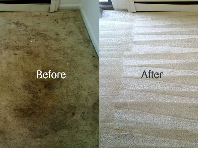 Before and after comparison showing a dirty carpet transformed into a clean one by Tampa Affordable Carpet Cleaning, Inc in Tampa, FL