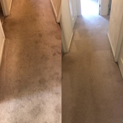 Before and after comparison of a professionally cleaned carpeted room by Morgan's Carpet & Upholstery Care in Dunlap, IL.