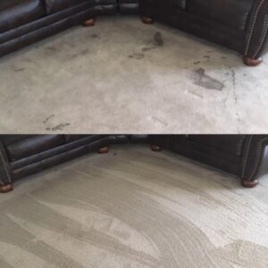 Before and after comparison of a carpet, showing stains removed by Ecodry Carpet Cleaning Las Vegas, NV.
