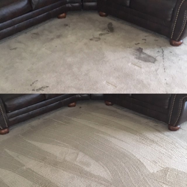 Before and after comparison of a carpet, showing stains removed by Ecodry Carpet Cleaning Las Vegas, NV.