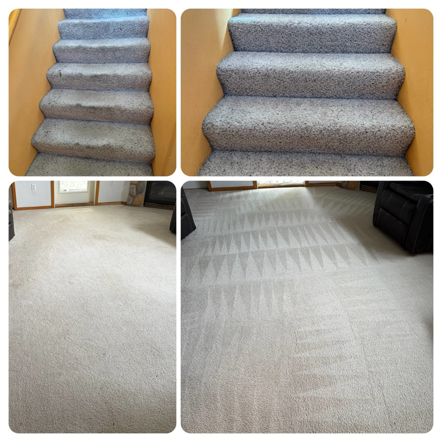 Before and after carpet cleaning on stairs and a living room floor by Alex & Mary Carpet & Upholstery Cleaning in Tacoma, WA.