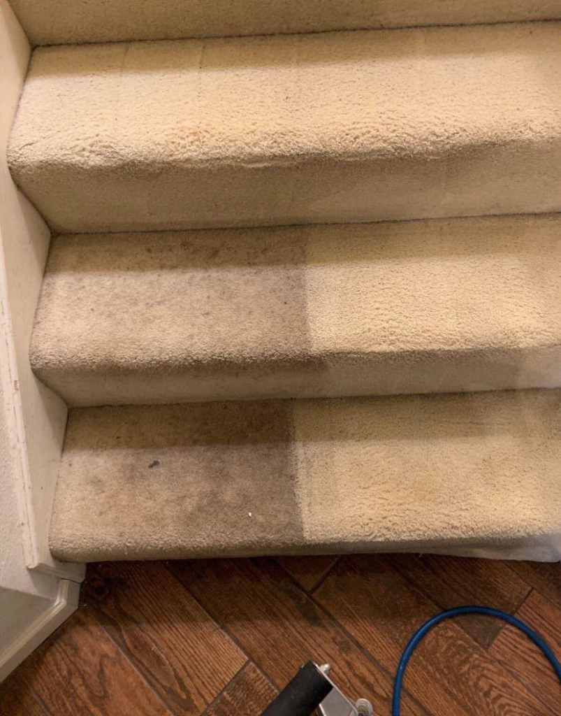Before and after view of carpeted stairs, showing a significant cleaning difference by Zerorez Wichita in Wichita, KS.