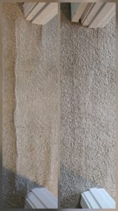 Before and after comparison of a light-colored carpet, showing a professionally cleaned strip by All Seasons Carpet Cleaning in Loves Park, IL.