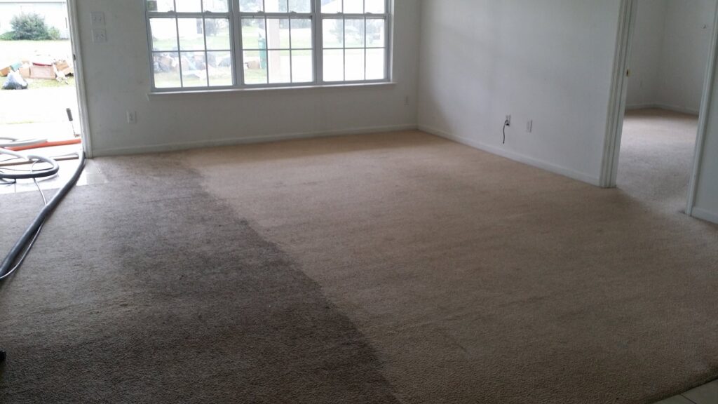 A clear before and after view of carpet cleaning in a living room by Todd White Carpet Care LLC in Tallahassee, FL.