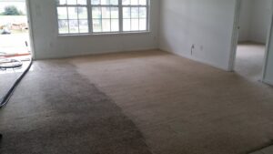 A clear before and after view of carpet cleaning in a living room by Todd White Carpet Care LLC in Tallahassee, FL.