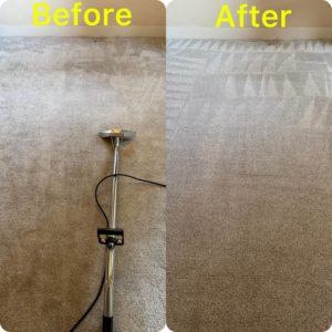 Before and after professional carpet cleaning with a cleaning wand by Alex & Mary Carpet & Upholstery Cleaning in Tacoma, WA.