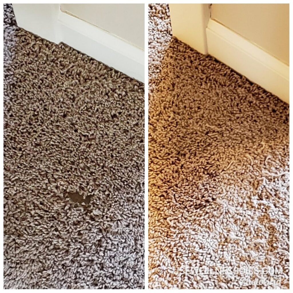 A before and after comparison showing a successful carpet patch repair by Exceptional Carpet Care in Rochester, MN.