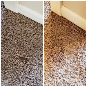A before and after comparison showing a successful carpet patch repair by Exceptional Carpet Care in Rochester, MN.