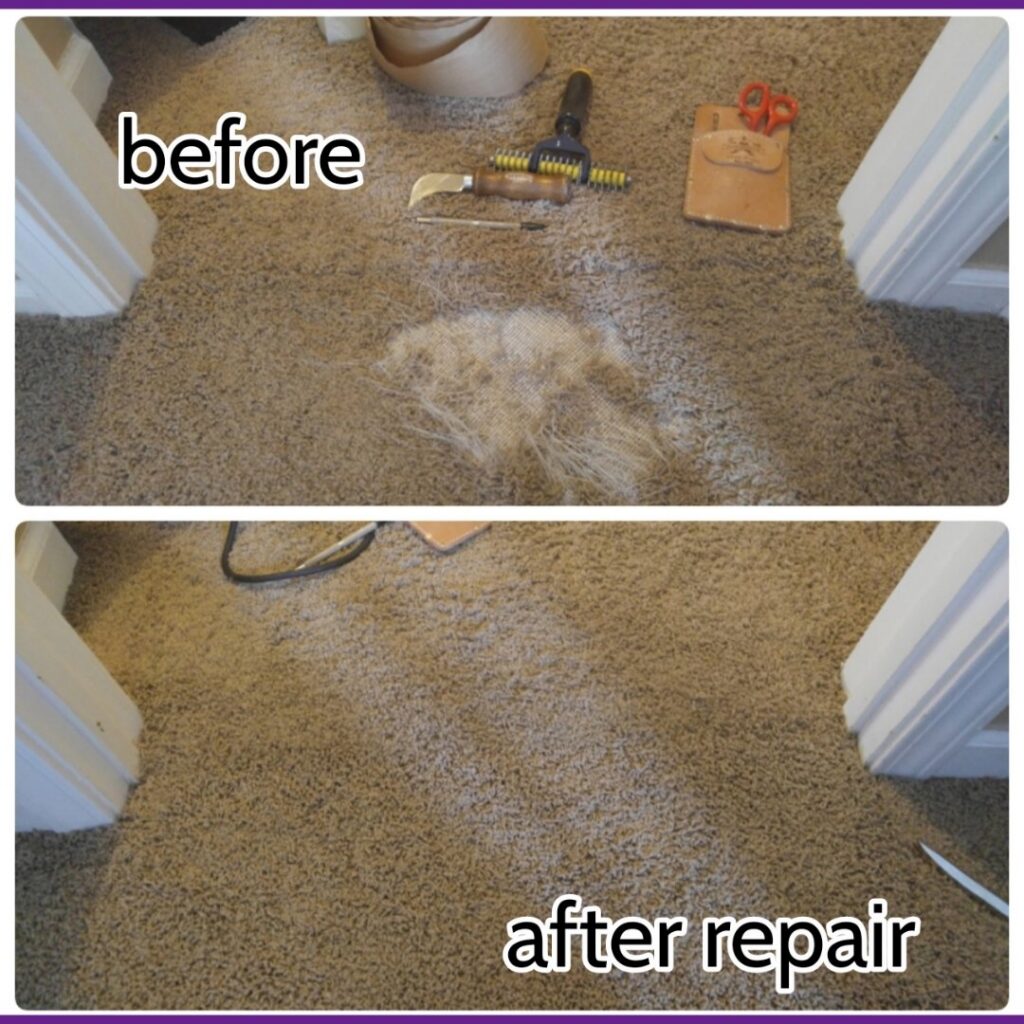 Before and after collage showing a damaged carpet repaired by The Carpet Chemist in Louisville, KY.